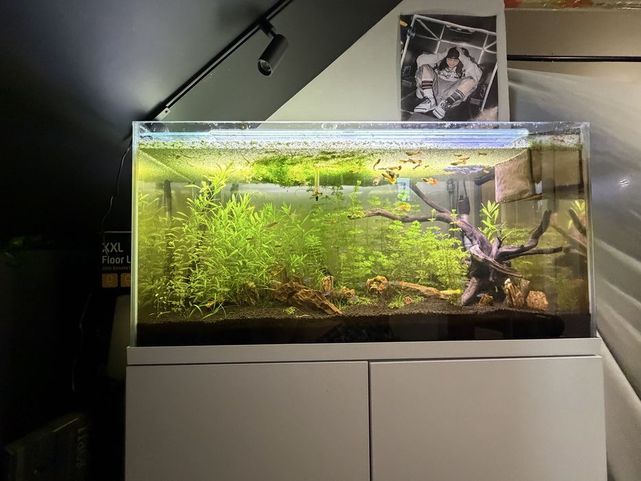 Akwarium 200l opti set