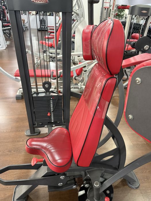 Maquina Panatta Peito /Peck Deck / Peck Fly