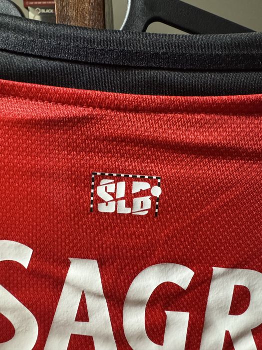 Camidola principal benfica 25/25