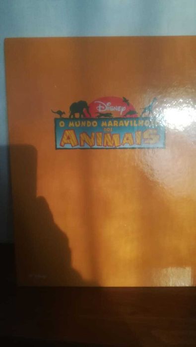 O mundo maravilhosos dos animais - Os Leões