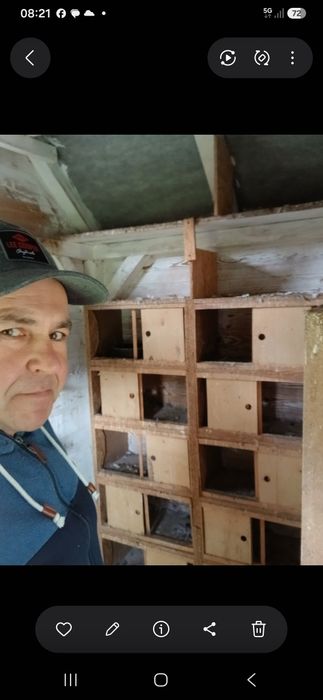 Pilnie sprsedam gołębnik z wojlerą 7.000
