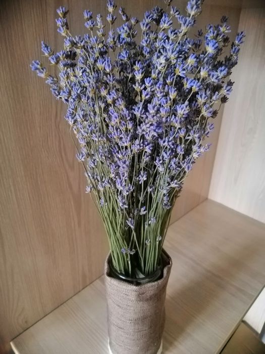 Лаванда сухоцвіт