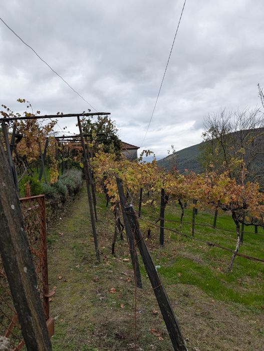 Casa   para  venda .