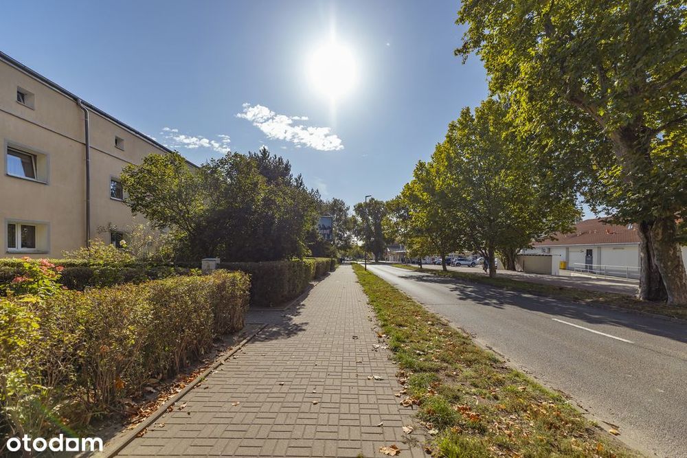 2 pokoje | Ogródek | Garaż | 2 piwnice