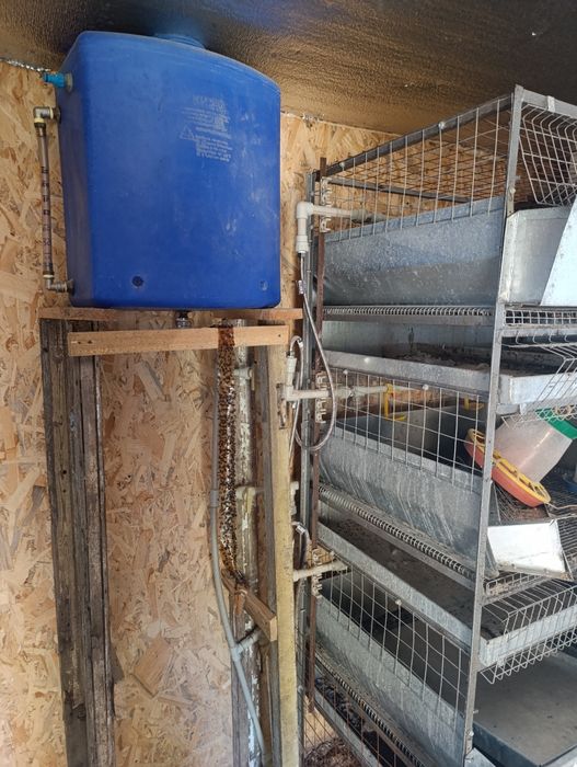 Клітки для бройлеров