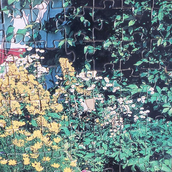 Зібраний пазл Castorland