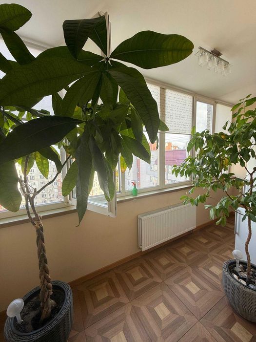 Продам 2кім.квартиру вул.Грушевського,парк Перемоги,м.Бровари DM