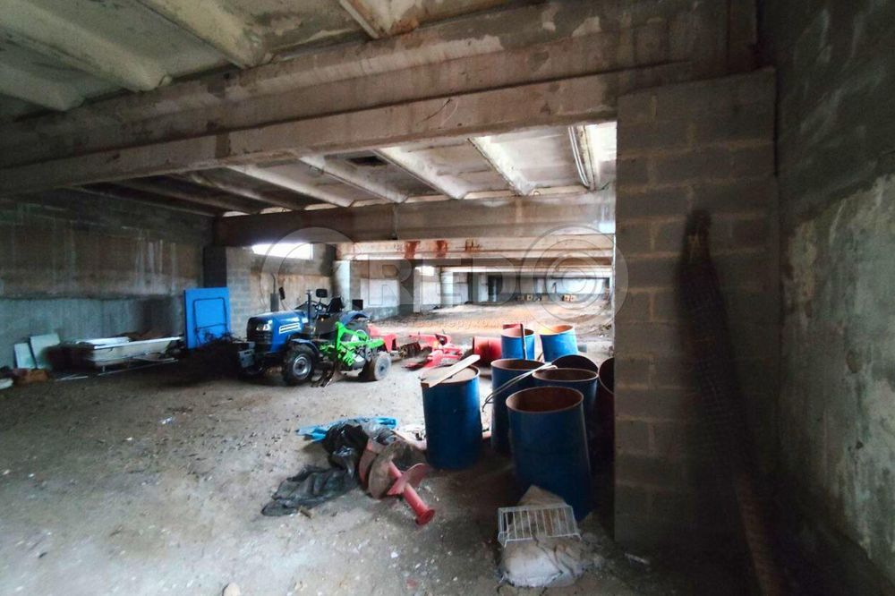 с.Надія (Радгоспне) Великий будинок + фермерське господарство