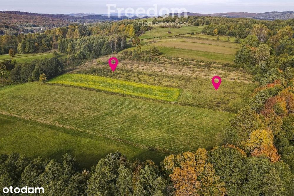 Działka budowlana Grabówka 81 - Widok 5
