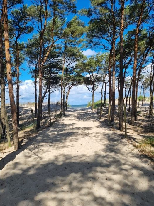 Apartament  Rowy 80 m do plaży  WOLNE  od 16 sierpnia