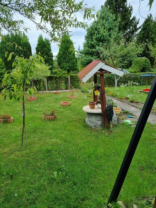 Działka ROD Wiarus