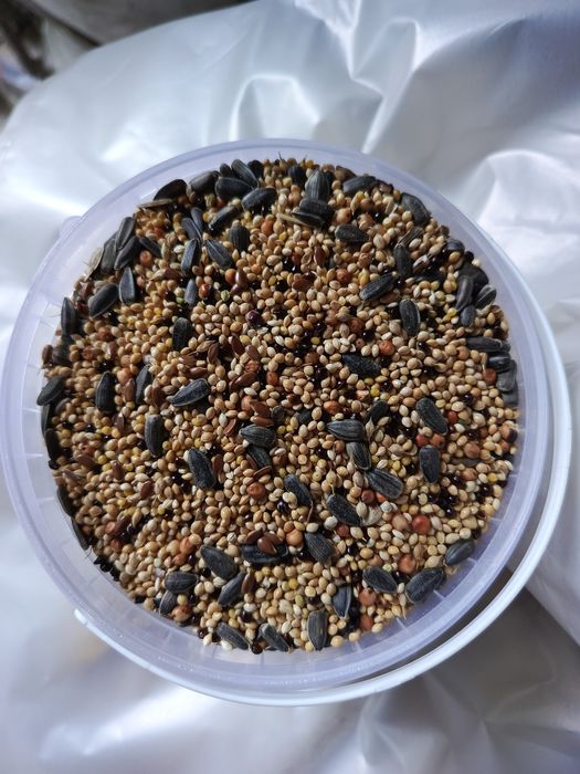 Насіння збалансоване в контейнері та на вагу