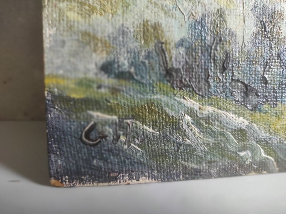 Piękny obraz olejny bez ramy Sygnowany