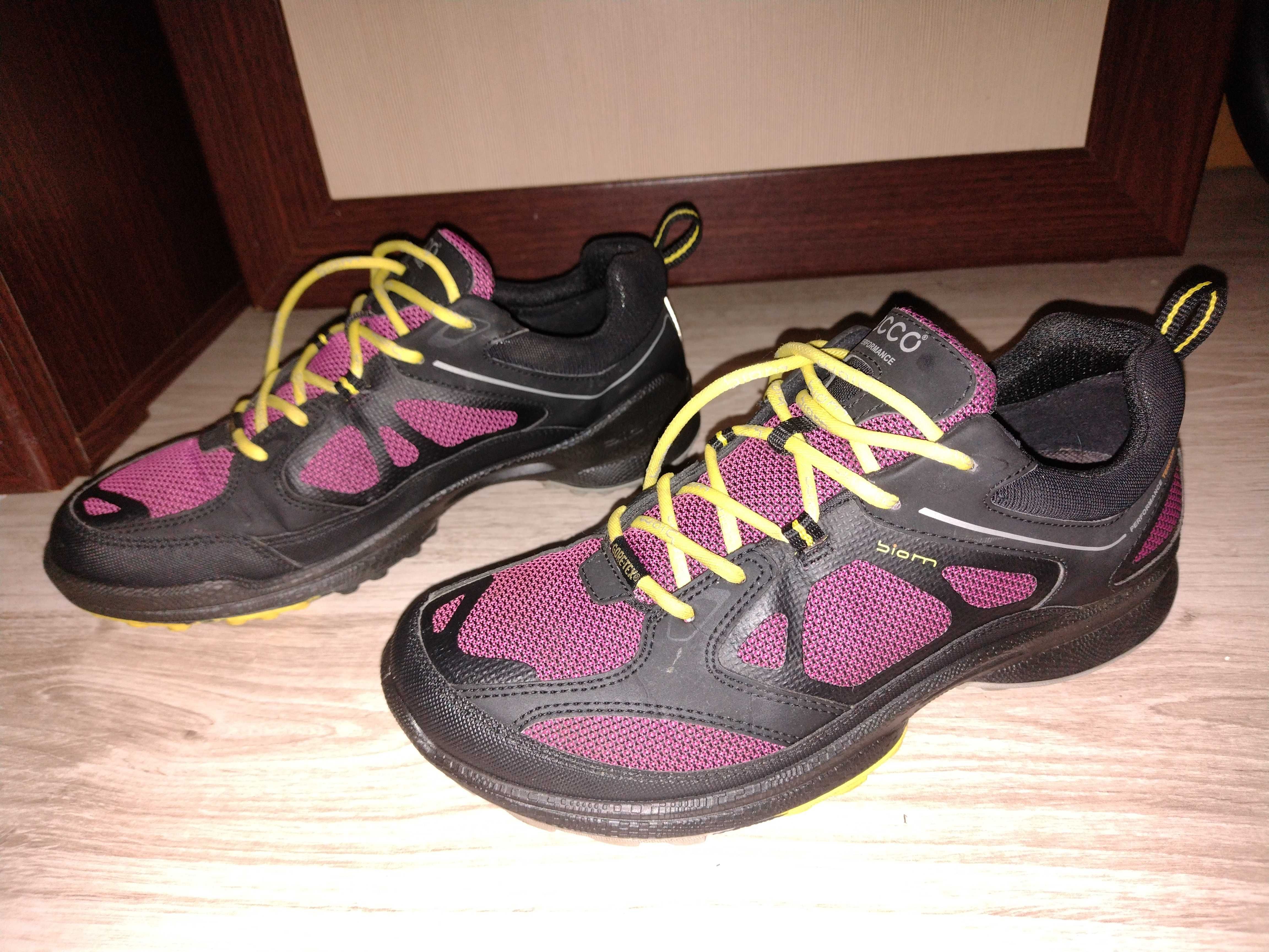 Buty ecco 36 24 biom performance terrain. W oc awek OLX.pl