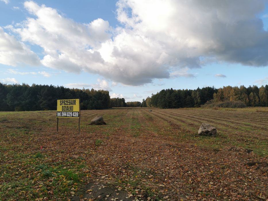 Działki z warunkami zabudowy Janopole gm. Nowe Miasto pow. Płońsk