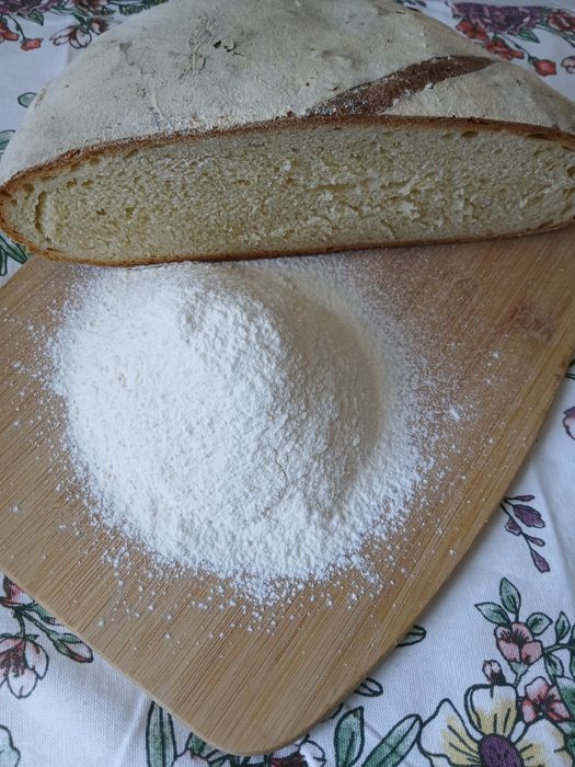 Orkisz Wirtas ziarno  mąka orkiszowa