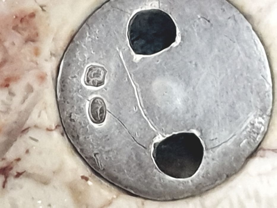 Fantástico antigo pisa papel em mármore e prata-emblemas de Equitação