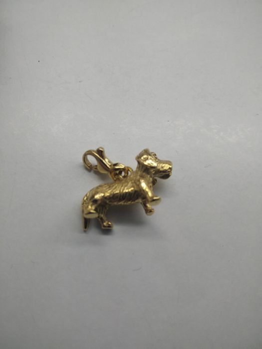 Złoty wisiorek charms piesek złoto 333  64