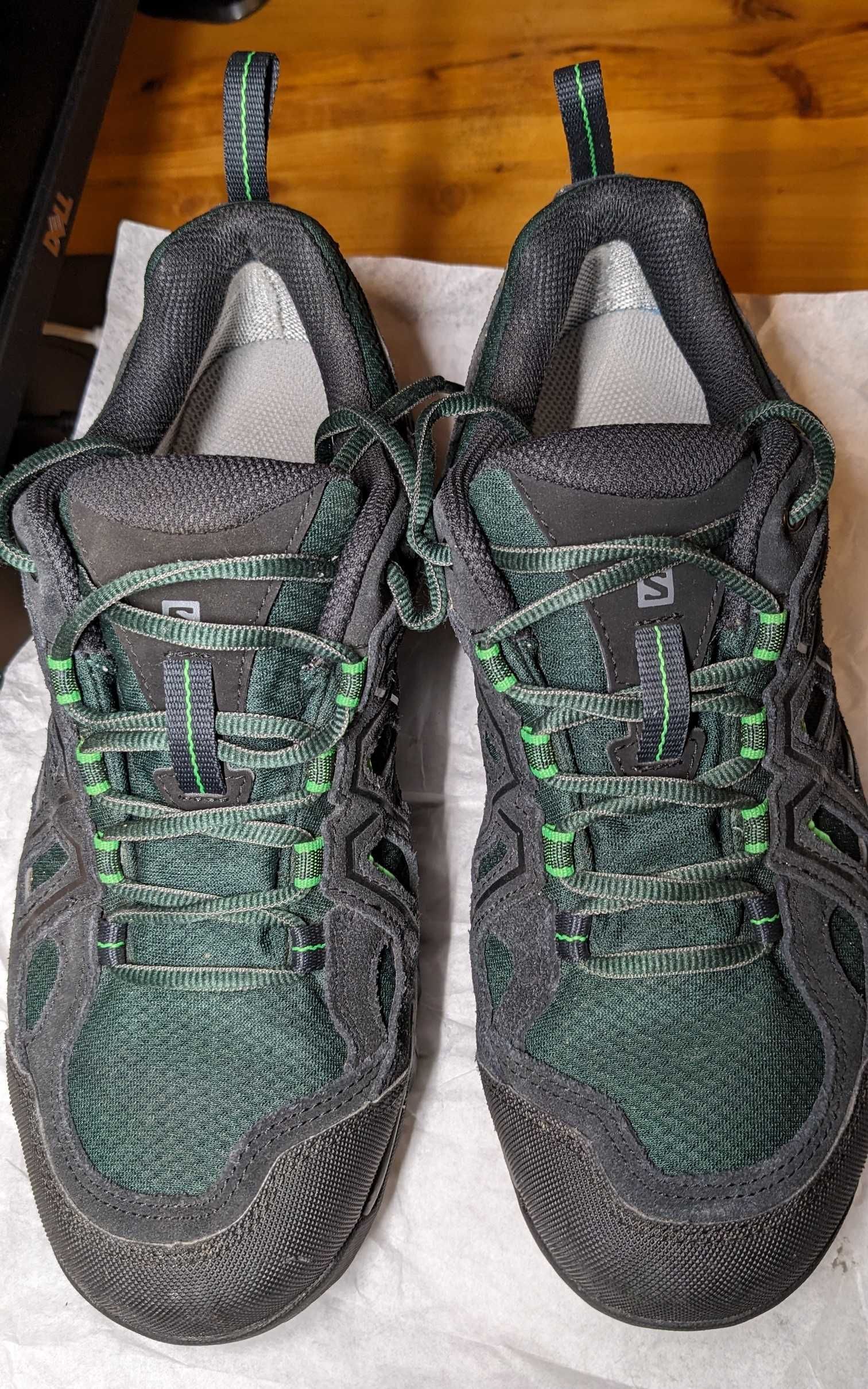 Salomon Evasion 2 GTX Scarab Black Green 3