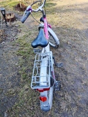 Rower dziecięcy Delta 20”