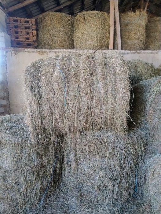 Sprzedam siano sezon 2025