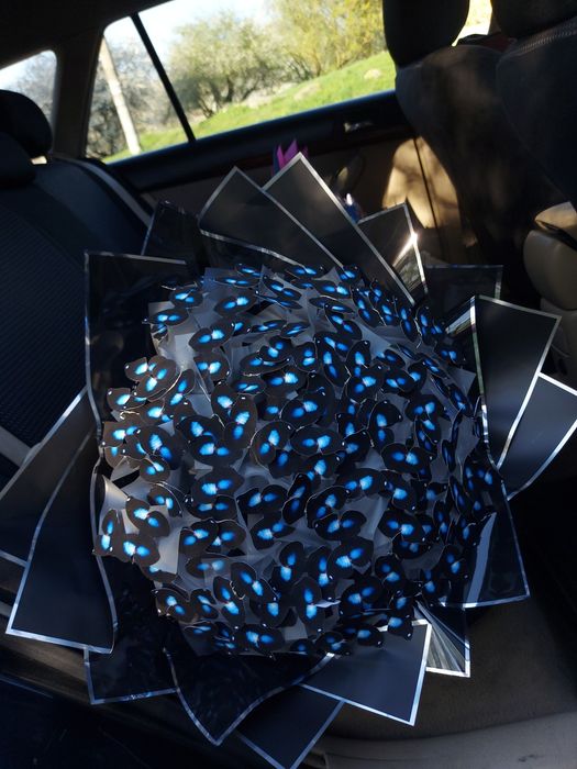 Букет з метеликів/Букет с бабочек