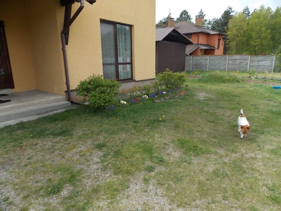 ТЕРМІНОВО! Будинок з ремонтом та укриттям, 25 соток, басейн