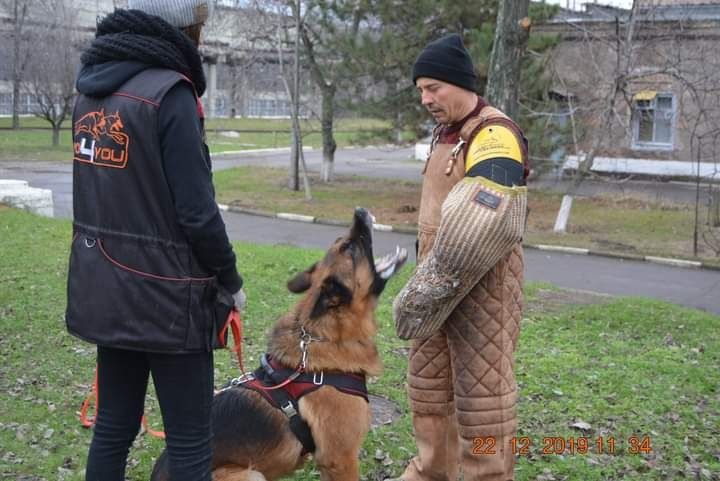 Инструктор-Кинолог