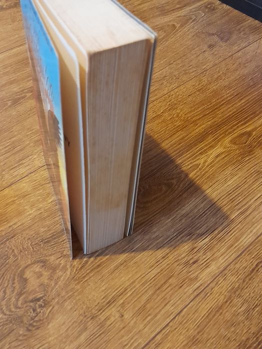 Rok Naszej Wojny/Gdzie Czas to Pieniądz Steph Swainston