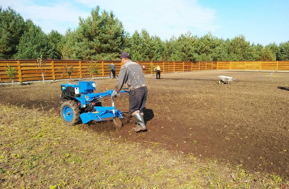 Ландшафтний дизайн, посів газону, стрижка газону, газон, косіння трави