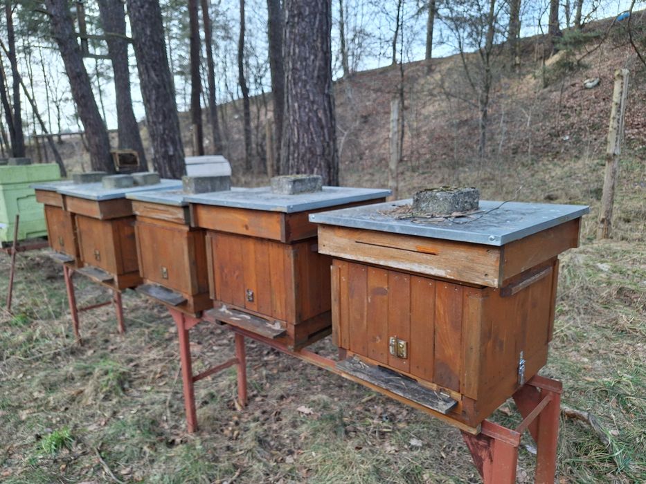 Sprzedam ule bez pszczół + akcesoria