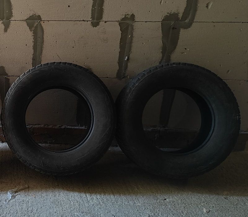 Шины Bridgestone blizzak dm-v2z 265/65r17