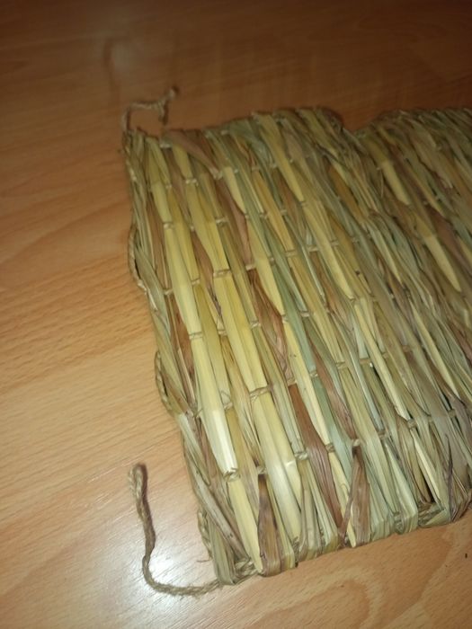 Mata dla gryzonia