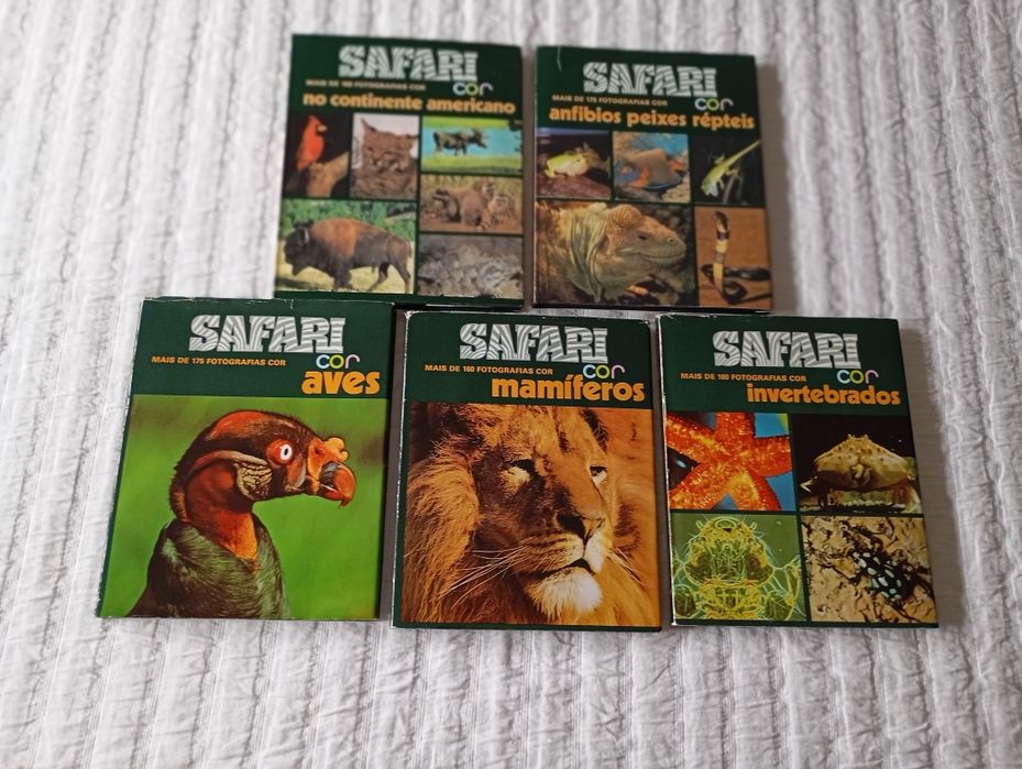 Coleção de livros Safari Cor