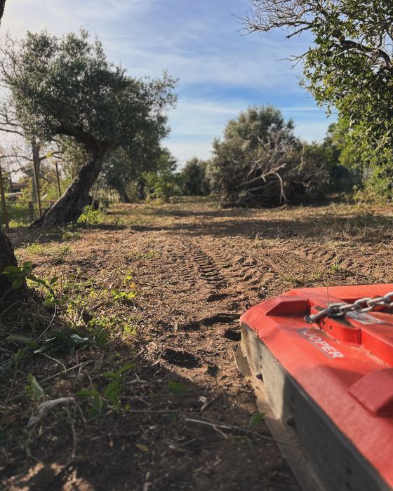 Limpeza de terrenos e serviços agrícolas e florestais .