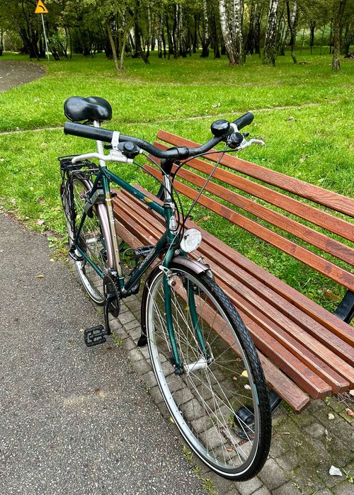 Rower trekingowy / miejski Gazelle Bahia