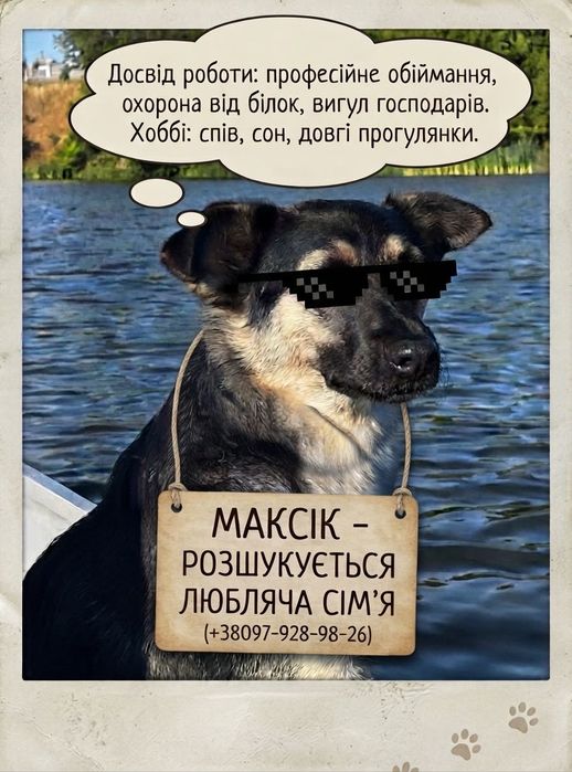 Максік - песик, якого ви полюбите  (1.5 року, кастрований, є щеплення)