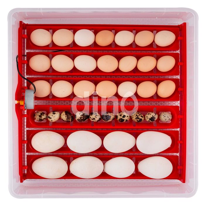 Inkubator Automat DINO 230V / 12V na 56 jaj klujnik wylęgarka +Owoskop