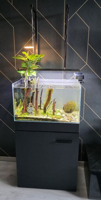 Akwarium  73l  komplet