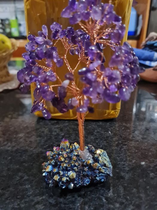 Árvore da transformação