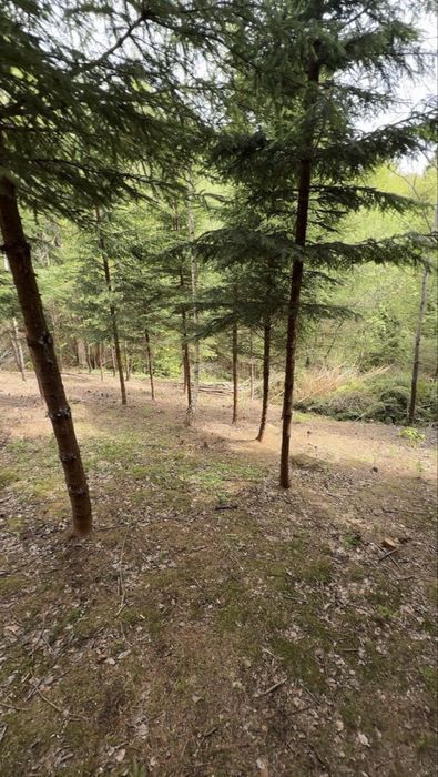 Земельна ділянка  СМТ Славсько, 0,50га підніжжя гори Тростян