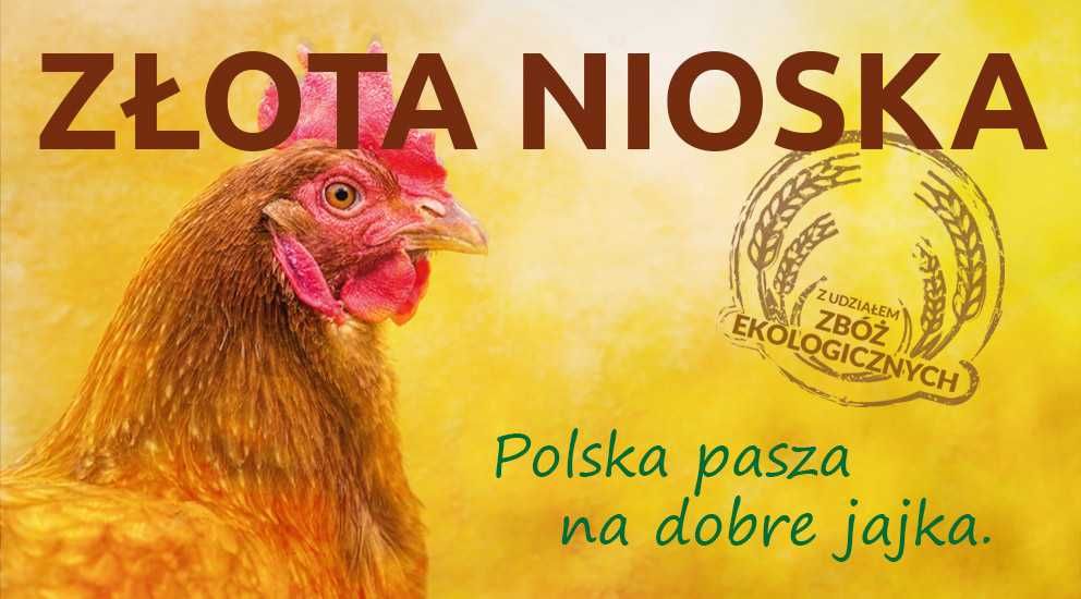 Pasza dla kur niosek sypka NEOROL 25kg wysyłka