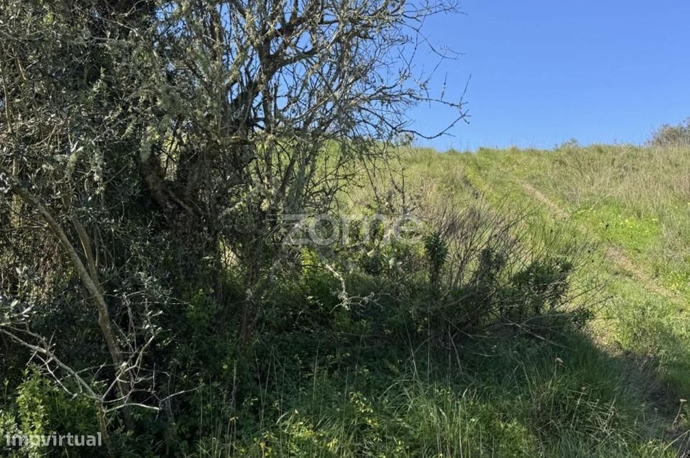 Terreno rústico com parcela urbana à beira da A8