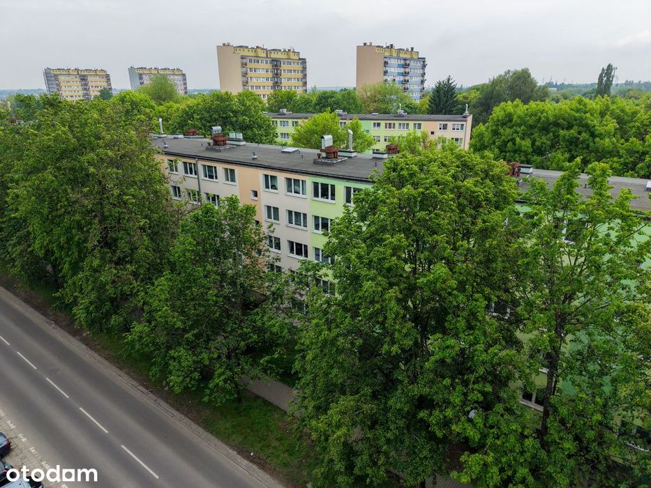 Zaprojektuj wymarzone 48m²! 3 pokoje, Dziesiąta