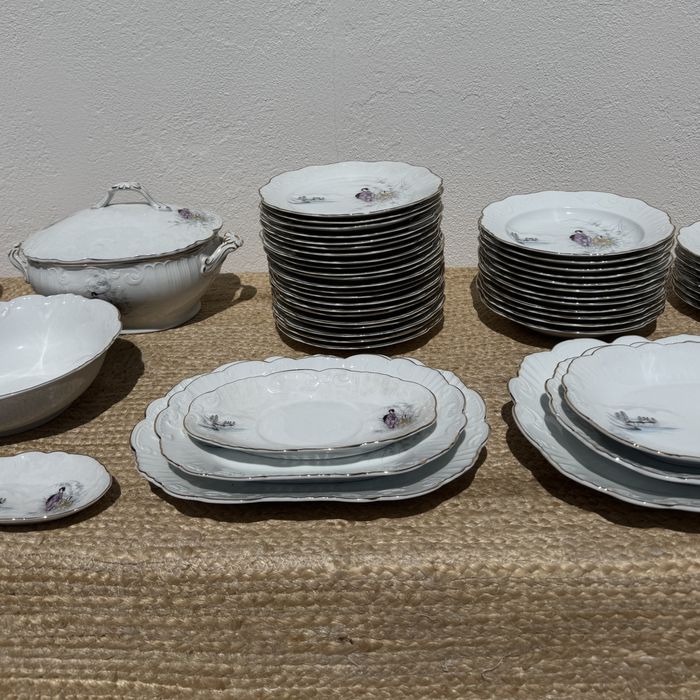 Servico Vista Alegre - OTARU