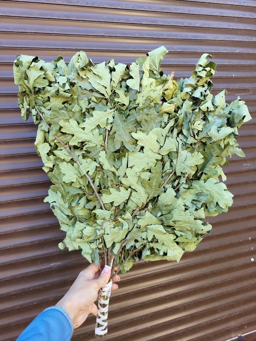 Вісники для сані сауни парилки веники дубові дубовий віник