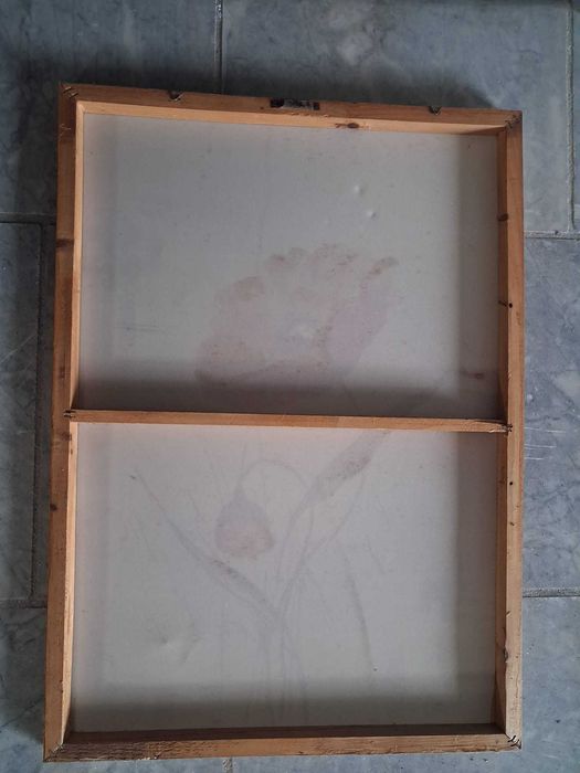 2 Quadros Modernos Flores Papoilas - Tela Decorativa Contemporânea (70x50cm)