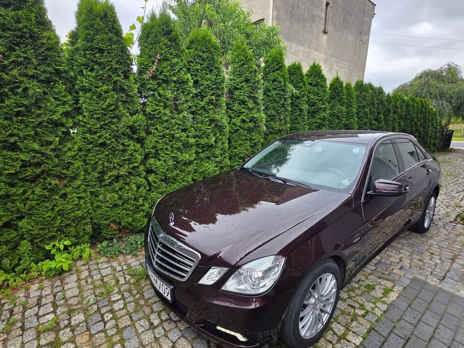 Mercedes-Benz Klasa E W212 E klasa. 220 CDI Mercedes.