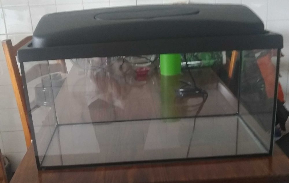 Aquário 60x30x30 tudo incluído