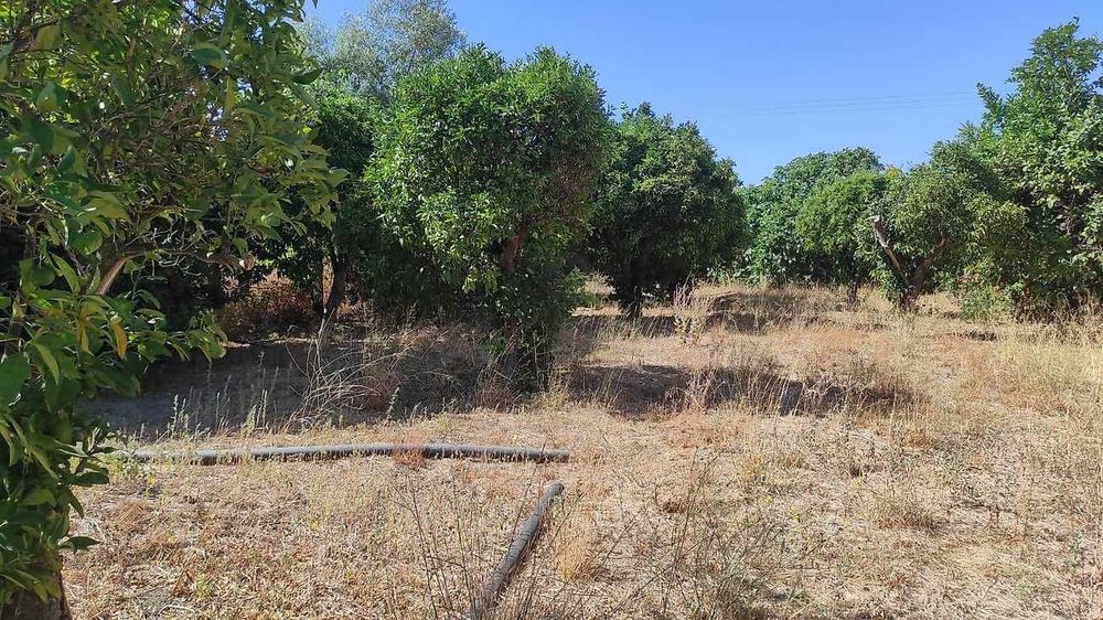 Casa para comprar em Riachos em frente a estação